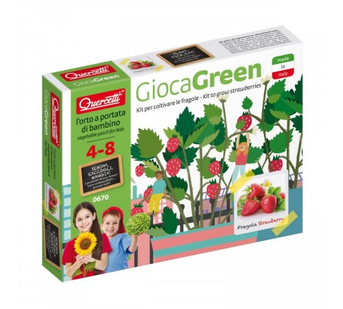 Quercetti 0670 Игровой набор ВЫРАСТИ САМ клубника Play Green small Strawberry Детский магазин в Кишиневе в Молдове quercetti 0670 Игровой набор ВЫРАСТИ САМ клубника play green small strawberry