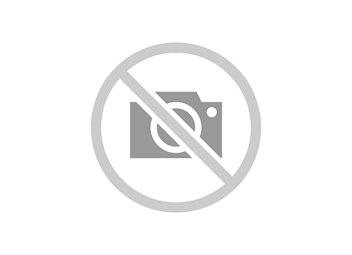 No image no-image