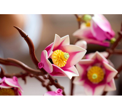 lego botanicals 11510 constructor "crenguțe de magnolie" (435 el.)