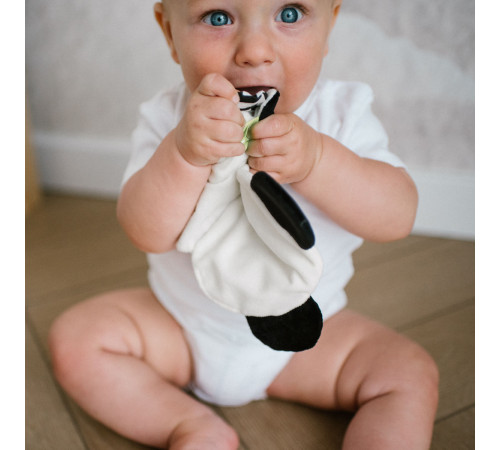 babyono-7406 1538 jucărie moale foșnitoare "panda polly"