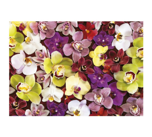 educa 19558 puzzle "orchid collage" (1000el)