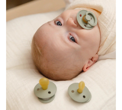 Bibs Набор латексных пустышек Try-It Pack Color 3 шт. (0-6 м.) Ivory bibs Набор латексных пустышек try-it pack color 3 шт. (0-6 м.) ivory