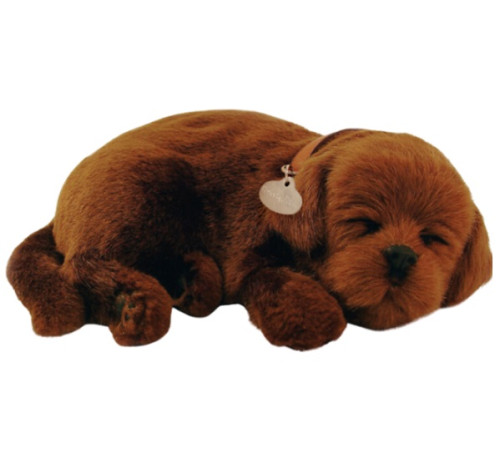  perfect petzzz 91-13 cățeluș "labrador ciocolatiu" cu imitație de respirație