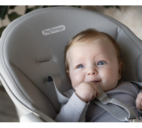 peg perego scaun pentru copii prima pappa follow me plus ice