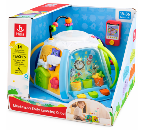 hola toys he8971 cub educativ "&Icirc;nvățare timpurie"