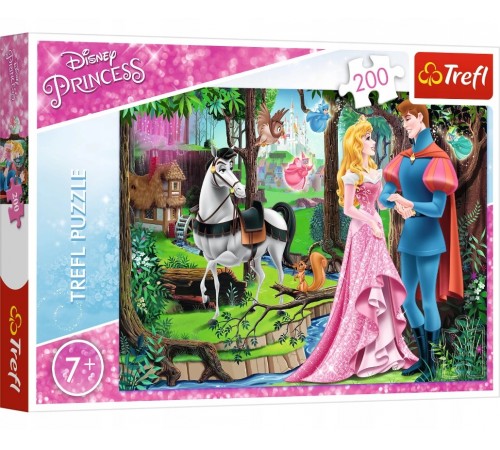 Детский магазин в Кишиневе в Молдове Trefl 13223 Пазлы "Встреча в лесу. Disney Princess" (200 эл.) Детский магазин в Кишиневе в Молдове trefl 13223 Пазлы "Встреча в лесу. disney princess" (200 эл.)