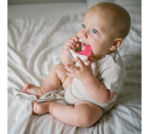 babyono-8698 Погремушка с прорезывателем 1593 