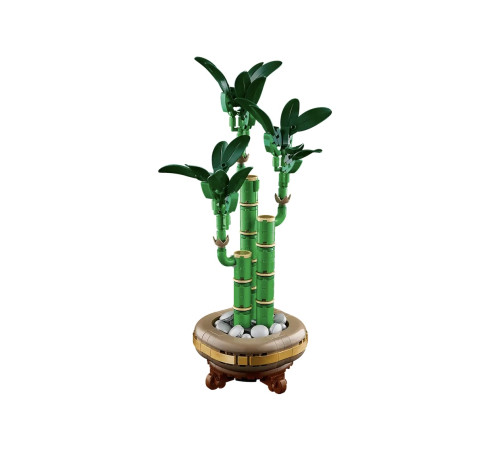 lego botanical collection 10344 constructor "lucky bamboo" (325 el.)