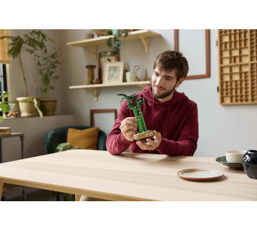 lego botanical collection 10344 constructor "lucky bamboo" (325 el.)