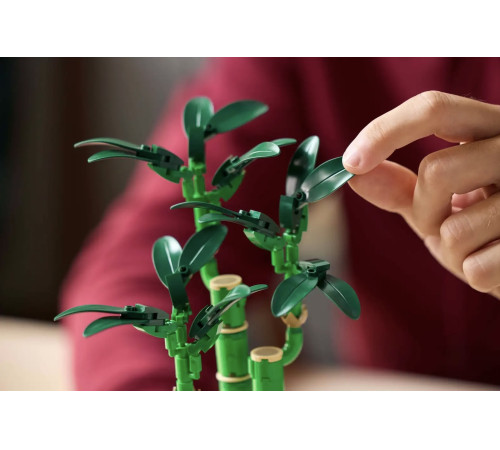 lego botanical collection 10344 constructor "lucky bamboo" (325 el.)