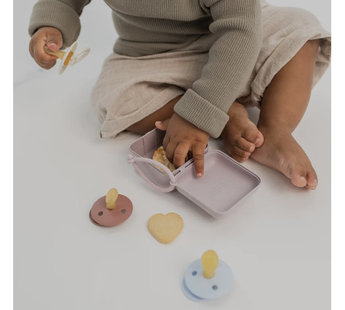 bibs container pentru depozitarea si sterilizarea suzetelor pacifier box sage