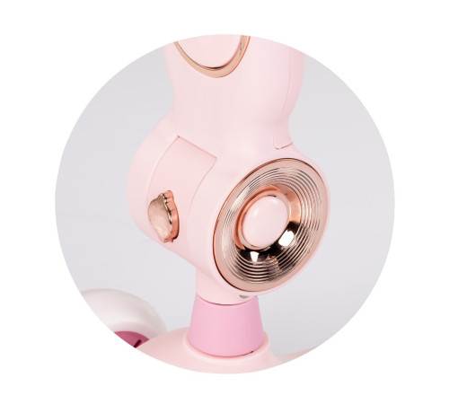 chipolino dsblo0263pi trotineta 2 in 1 "bloomi" roz