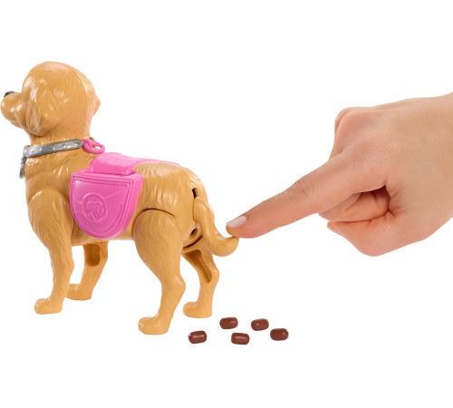 barbie jjb46 păpușa barbie "plimbarea cu cățelușul"