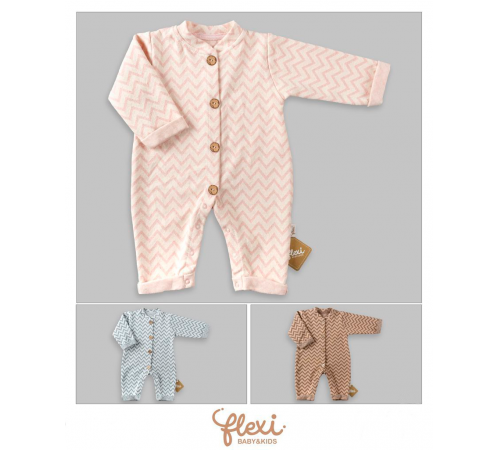 Одежда для малышей в Молдове Flexi 213918 Комбинезон "Zigzag" (62-68-74 см.) в асс. Одежда для малышей в Молдове flexi 213918 Комбинезон "zigzag" (62-68-74 см.) в асс.