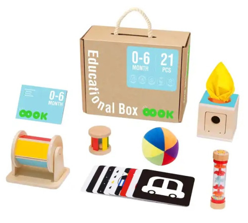  tooky toy tk750 Набор игрушек для раннего развития "Развивающая коробка" (21 предмет)