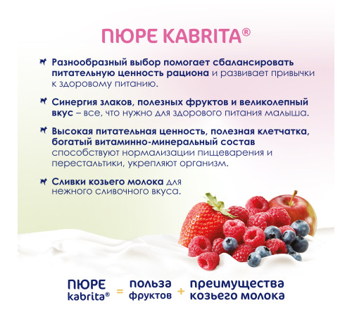 mega pack kabrita piure cu frișсă de capra "fructe de padure" (6 х 100) 600 gr.