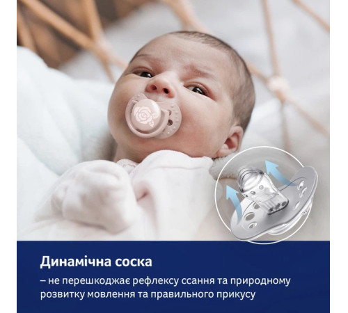 lovi 1/300 Стартовый набор для новорожденных "botanic girl" 