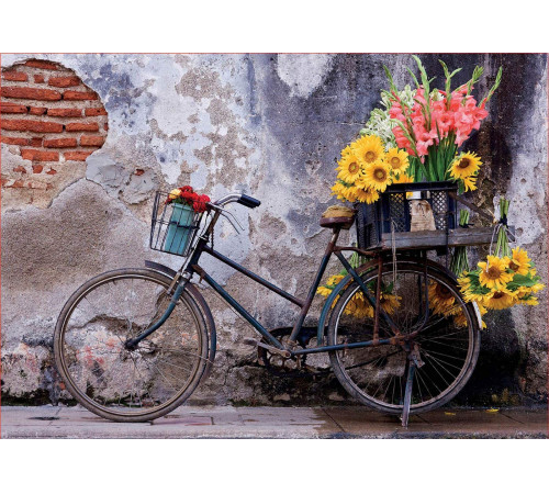educa 17988 Пазлы "Велосипед с цветами" (500 эл.)