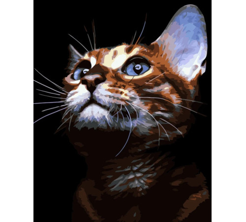  strateg leo va-3624 Картина по номерам "Рыжий кот" (40x50 см.)