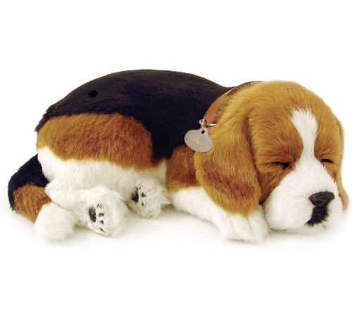  perfect petzzz 91-15 cățeluș "beagle" cu imitație de respirație