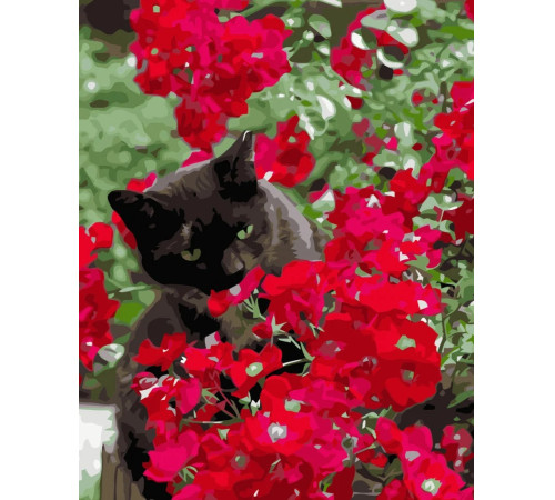  strateg leo va-3593 Картина по номерам "Котик в красных цветах" (40x50 см.)