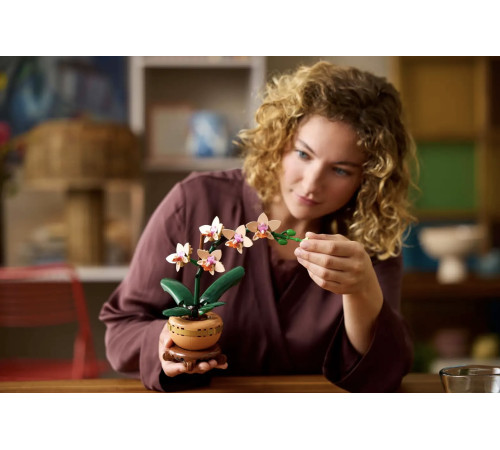 lego botanical collection 10343 constructor "mini orhidee" (274 el.)