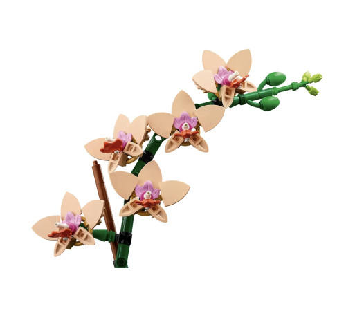 lego botanical collection 10343 constructor "mini orhidee" (274 el.)