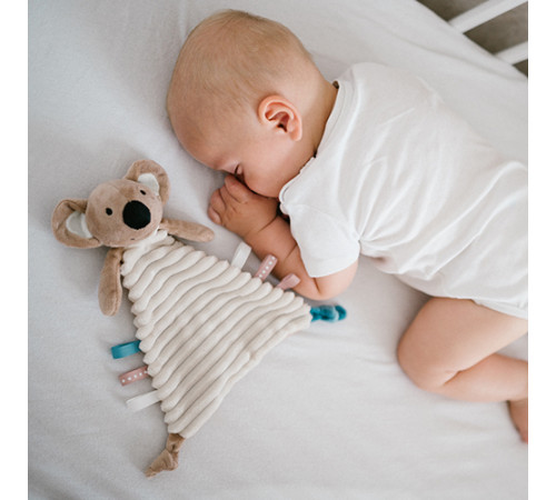 babyono-7407 1559 jucărie de &icirc;mbrățișat "koala charlie"