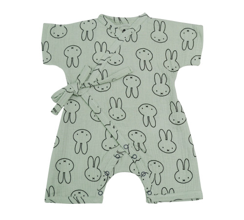 Haine pentru copii in Moldova minikin 22301456 body "bon voyage" (m. 56) verde\desen