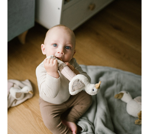 babyono-7402 1555 zornăitoare-c&acirc;rț&acirc;itor "goose zoe"