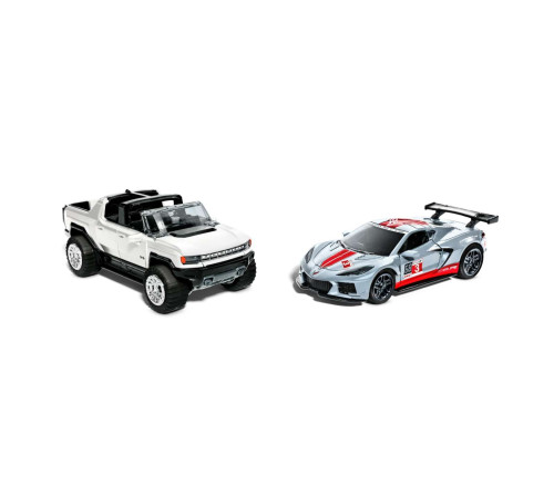 hot wheels hpr91 set 2 masini de curse (in sort.)