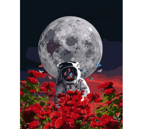  strateg leo va-3592 Картина по номерам "Космонавт" (40x50 см.)