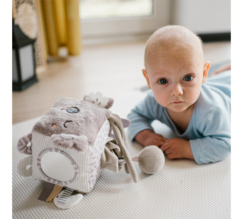 babyono-855 cub senzorial de pluș "koala coco" 1637