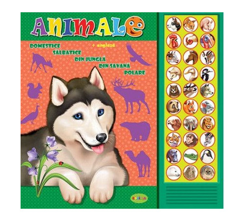  carte cu sunete. animale + engleza (ro)