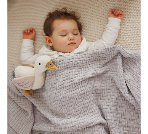 babyono 1647/02 Плед из органического хлопка (75x100 см) серый