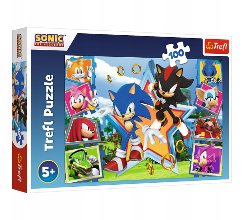 Trefl 16465 Puzzle "Meet Sonik" Sonic The Headgehog (100el.)  trefl 16465 puzzle "meet sonik" sonic the headgehog (100el.)