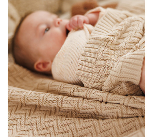 babyono 1647/03 Плед из органического хлопка (75x100 см) бежевый