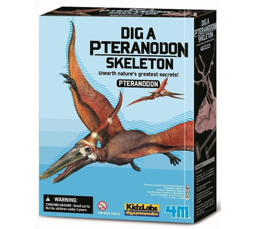 4M 00-03459 Set de tânăr arheolog "Pteranodon" Jucării pentru Copii - Magazin Online de Jucării ieftine in Chisinau Baby-Boom in Moldova 4m 00-03459 set de tânăr arheolog "pteranodon"