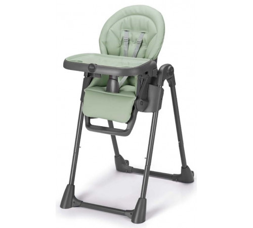  cam scaun pentru copii pappananna icon s2250-c256 mint