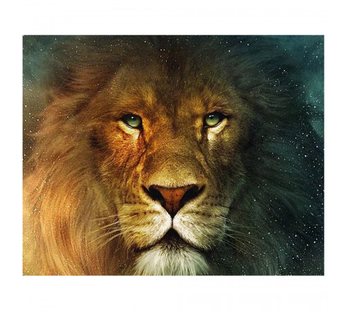  strateg leo va-0899 Картина по номерам "Лев — царь зверей" (40х50 см.) 
