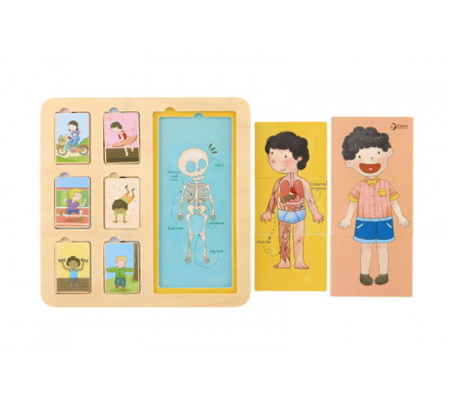 classic world 40031 joc- puzzle "corpul uman"