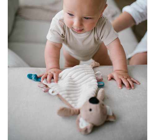 babyono-7407 1559 jucărie de &icirc;mbrățișat "koala charlie"