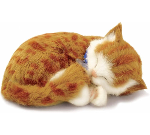 Детский&nbsp;магазин в Кишиневе в Молдове perfect petzzz 92-05 Рыжая кошка с имитацией дыхания