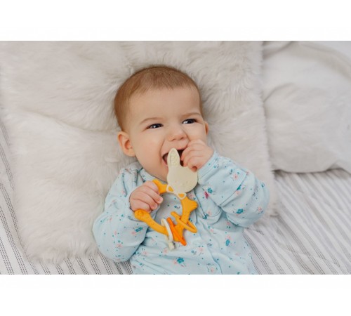 roxy rbt-001mu inel gingival "bunny" galben