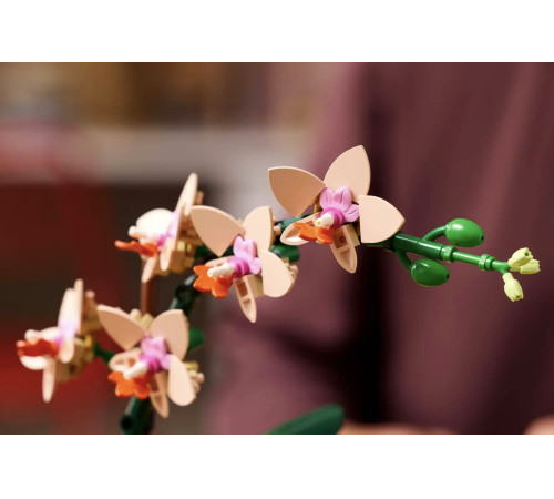lego botanical collection 10343 constructor "mini orhidee" (274 el.)