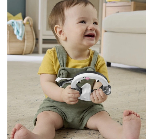 fisher-price jkw53 zornăitoare "inele multicolore" &icirc;n sort.)