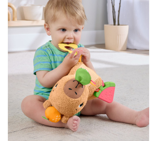 fisher-price hyr54 Развивающая игрушка "Капибара"