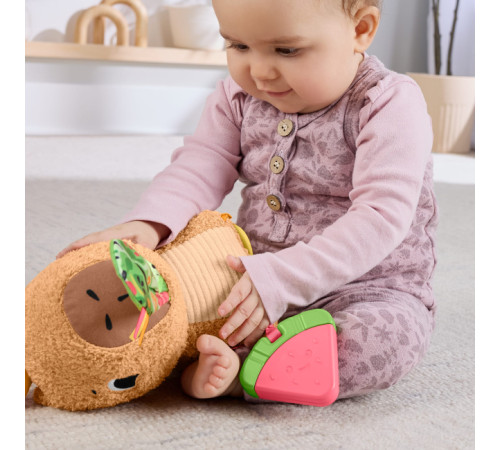 fisher-price hyr54 Развивающая игрушка "Капибара"