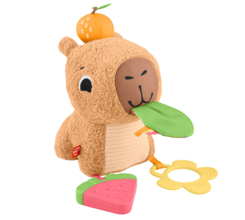 fisher-price hyr54 Развивающая игрушка "Капибара"