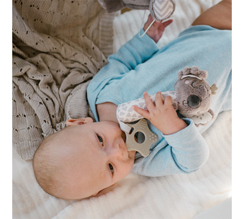 babyono-851 zornăitoare de pluș "koala coco" 1633